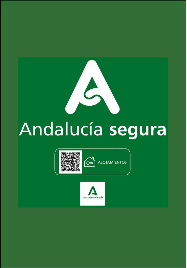 Holidays2Malaga Heredia 3 Bedroom Opposite Malaga Port Eksteriør bilde